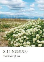 3.11 を忘れない